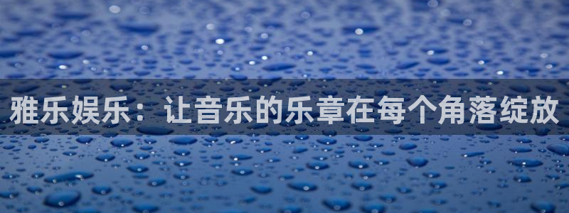 上海狗子28汽车电子有限公司