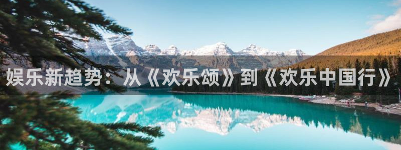 狗子28体育2官网入口