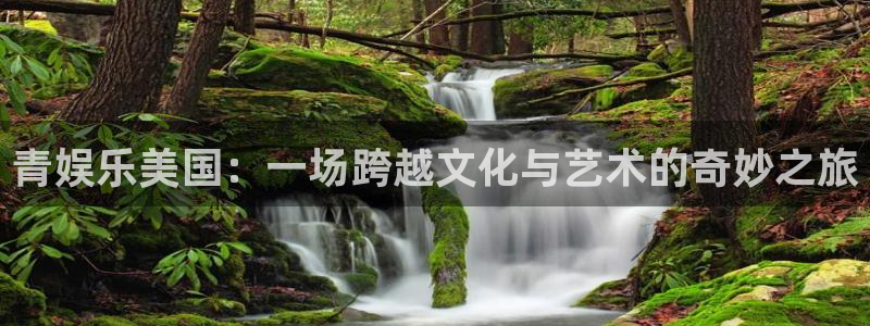 狗子28体育合法嘛：青娱乐美国：一场跨越文化与艺术的奇妙之旅