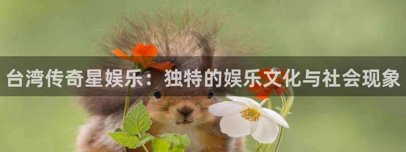 狗子284注册：台湾传奇星娱乐：独特的娱乐文化与社会现象