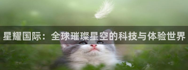 狗子28招商：星耀国际：全球璀璨星空的科技与体验世界