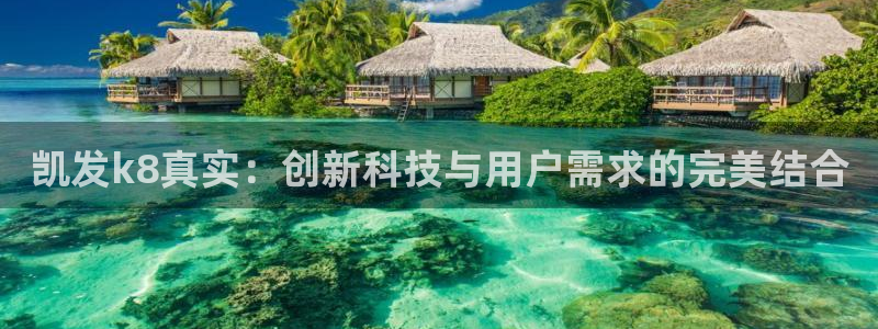www.狗子28体育.com：凯发k8真实：创新科技与用户需求的完美结合