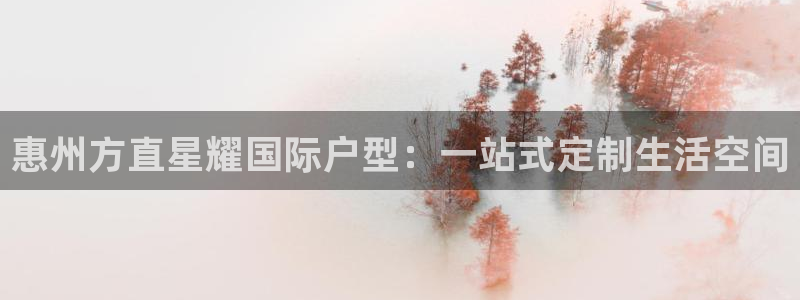 狗子28体育代理：惠州方直星耀国际户型：一站式定制生活空间