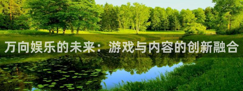 狗子28体育官网注册：万向娱乐的未来：游戏与内容的创新融合