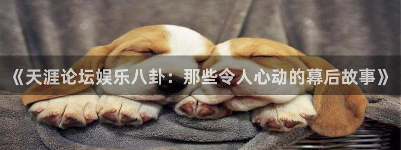 狗子28集团总部：《天涯论坛娱乐八卦：那些令人心动的幕后故事》