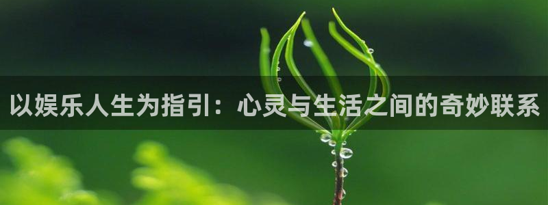 狗子28体育免费注册入口：以娱乐人生为指引：心灵与生活之间的奇妙联系