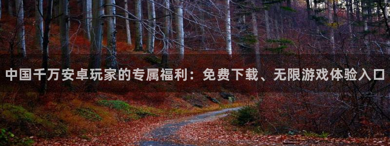 狗子28体育3：中国千万安卓玩家的专属福利：免费下载、无限游戏体验入口