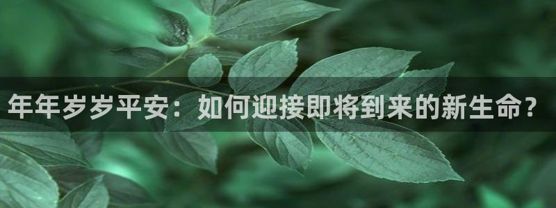 狗子28体育代理申请流程：年年岁岁平安：如何迎接即将到来的新生命？