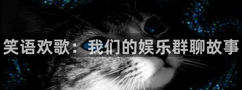 狗子28能源：笑语欢歌：我们的娱乐群聊故事