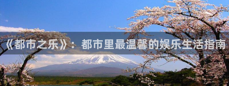 狗子285招商：《都市之乐》：都市里最温馨的娱乐生活指南