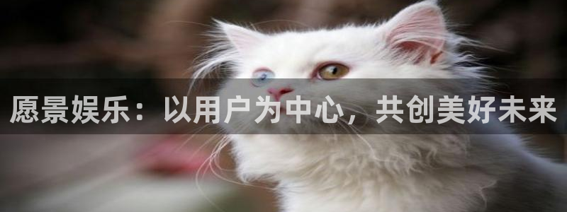 狗子28kgame：愿景娱乐：以用户为中心，共创美好未来