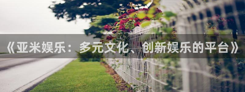 狗子28体育：《亚米娱乐：多元文化、创新娱乐的平台》
