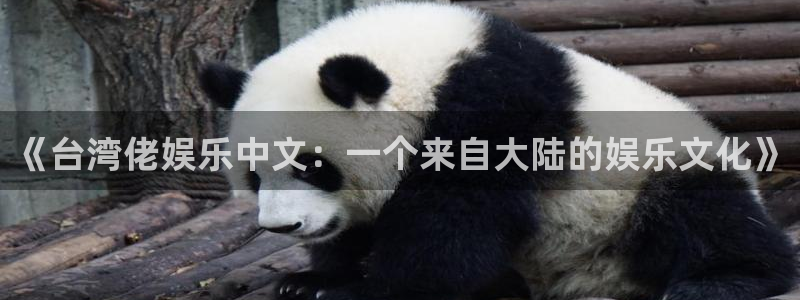 狗子28登录注册：《台湾佬娱乐中文：一个来自大陆的娱乐文化》
