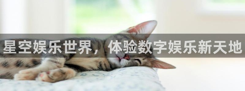 狗子28体育平台注册：星空娱乐世界，体验数字娱乐新天地