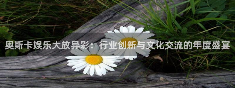 狗子28平台注册入口：奥斯卡娱乐大放异彩：行业创新与文化交流的年度盛宴