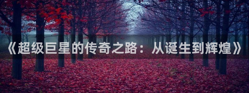 狗子284代理：《超级巨星的传奇之路：从诞生到辉煌》