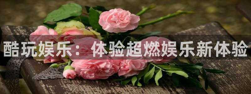 狗子28电子有限公司：酷玩娱乐：体验超燃娱乐新体验