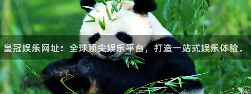 狗子28体育凯捷代理注册：皇冠娱乐网址：全球顶尖娱乐平台，打造一站式娱乐体验。