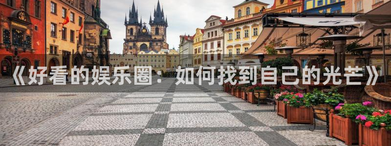 狗子28平台注册：《好看的娱乐圈：如何找到自己的光芒》