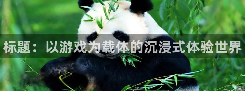 佛山市南海狗子28机电仪器有限公司：标题：以游戏为载体的沉浸式体验世界