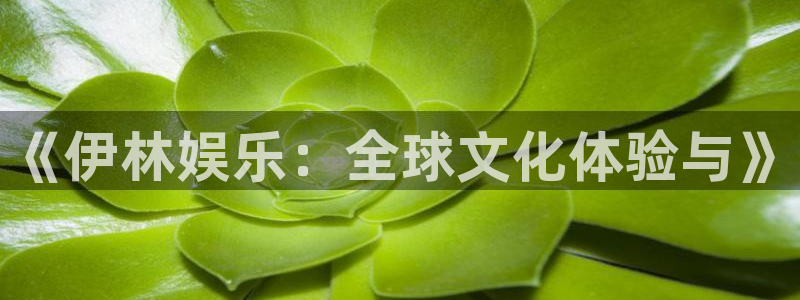 狗子28体育官网入口登录：《伊林娱乐：全球文化体验与》