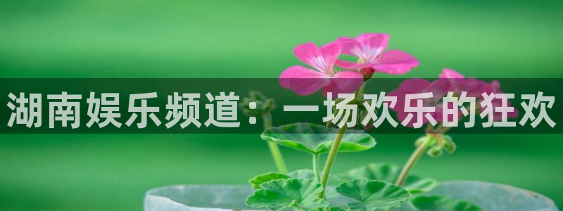 狗子28体育用品：湖南娱乐频道：一场欢乐的狂欢