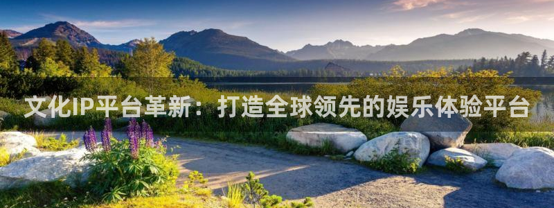 狗子28体育官网：文化IP平台革新：打造全球领先的娱乐体验平台