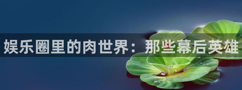 狗子28招商：娱乐圈里的肉世界：那些幕后英雄