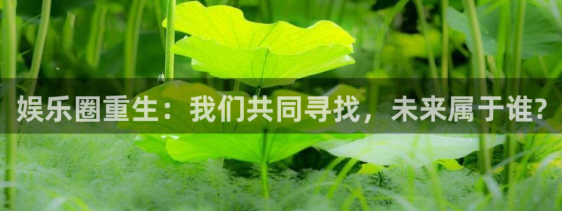 狗子283：娱乐圈重生：我们共同寻找，未来属于谁?