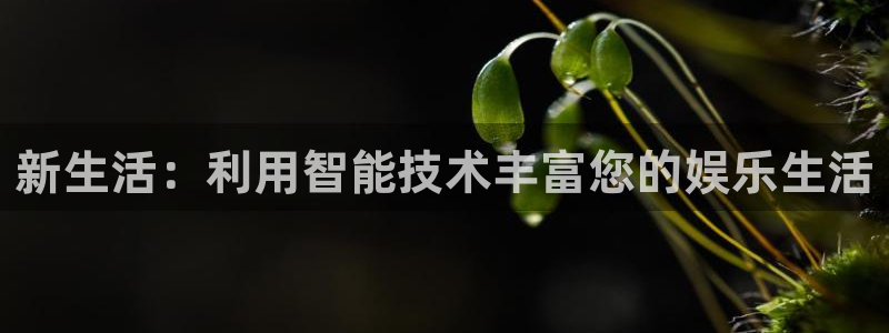 狗子28体育官网入口登录：新生活：利用智能技术丰富您的娱乐生活