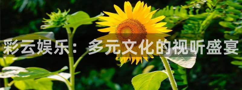 狗子284开户：彩云娱乐：多元文化的视听盛宴