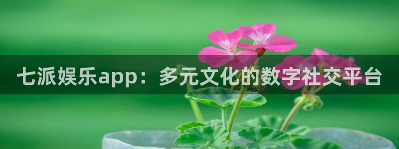狗子28凯捷平台：七派娱乐app：多元文化的数字社交平台
