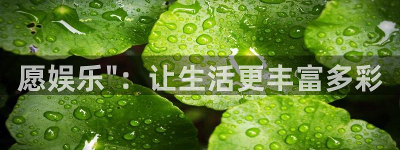 狗子28注册：愿娱乐\